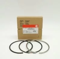 купить Кольца поршневые (на 1 поршень) стандарт 4ISBе, 6ISBe, ISDe, QSB